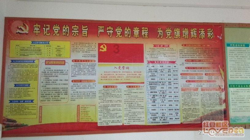 救援受困的老虎